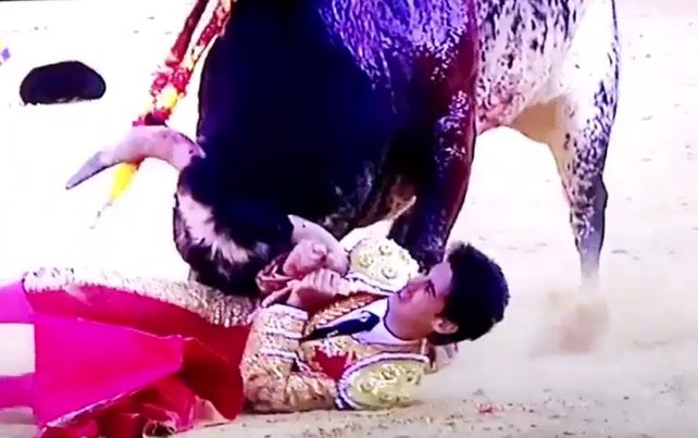 Impactante: toro corneó y mató a un joven torero en una corrida en Aragón