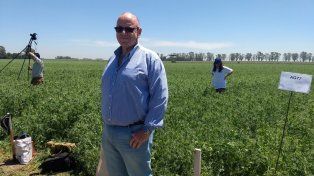 Sequía. Poletti analizó el impacto devastador en el cultivo de arveja.