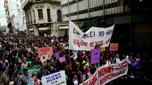 Larguísima columna este miércoles recorrió el centro de Rosario, en el marco de un nuevo aniversario de Ni Una Menos