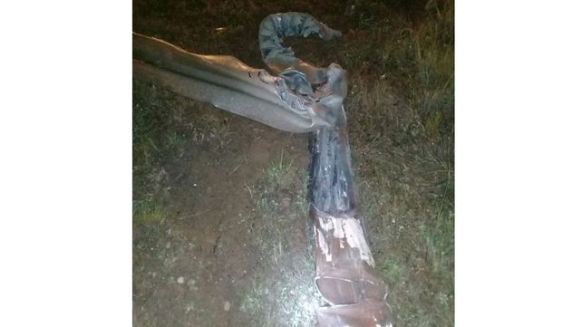 Un colectivo chocó contra un guardrail y un poste de iluminación en la ruta nacional 14