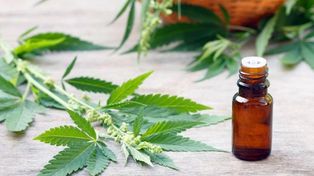 Santa Fe participará de la investigación pública sobre uso de cannabis