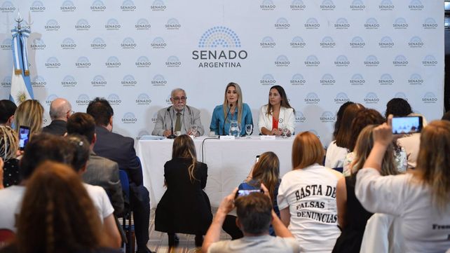La senadora por Santa Fe Carolina Losada encabezó una jornada de debate sobre su proyecto contra las denuncias falsas de violencia de género y abuso.&nbsp;