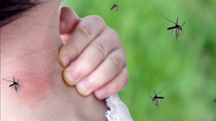 Cuáles son las enfermedades más frecuentes del verano y cómo prevenirlas