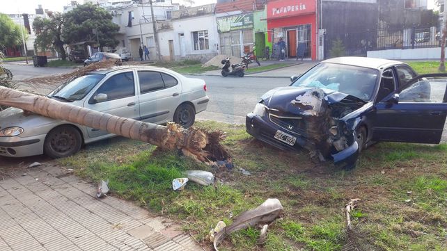 En Argentina mueren 21 personas por día en accidentes de tránsito