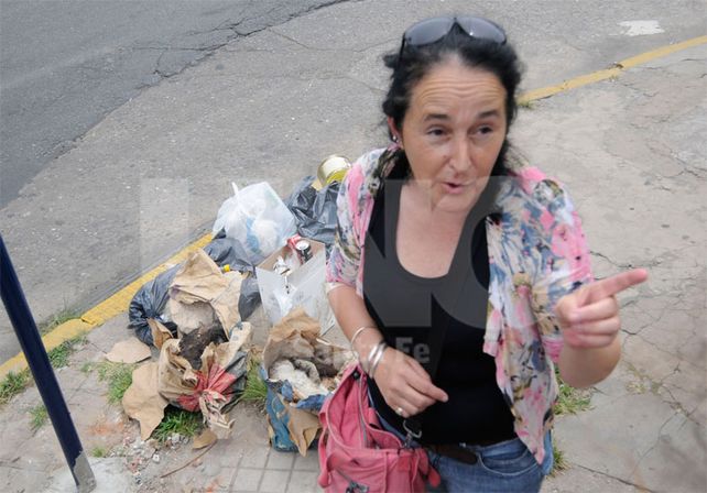 Denuncian el envenenamiento de 30 gatos en la Casa Cingolani de barrio Candioti