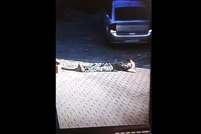 Un auto le pisó la cabeza a un borracho y sobrevivió de milagro: mirá el video