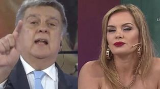 Luis Ventura y Eliana Guercio protagonizaron un escándalo durante un programa de televisión en torno al caso de Marcelo Corazza.