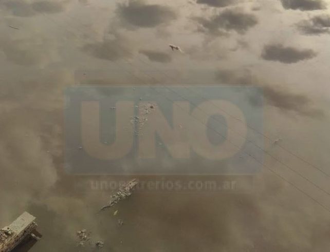 Vecinos de San José denunciaron mortandad de peces