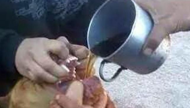 Emborracharon a un perro, abusaron de él y subieron la escena a Facebook