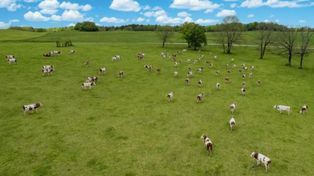 Tierras argentinas en manos extranjeras: qué departamento de la provincia de Santa Fe ya supera el límite legal