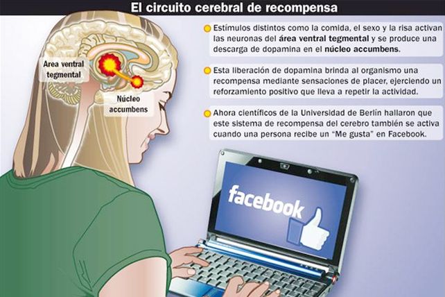 Recibir Me gusta en Facebook activa como la droga y el sexo