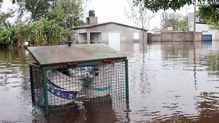 Alivio por la mejora del clima en las zonas inundadas en Córdoba