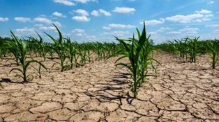 Entre Ríos: deberán llover 50 milímetros en Octubre