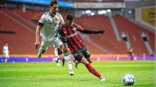 @bayer04_es