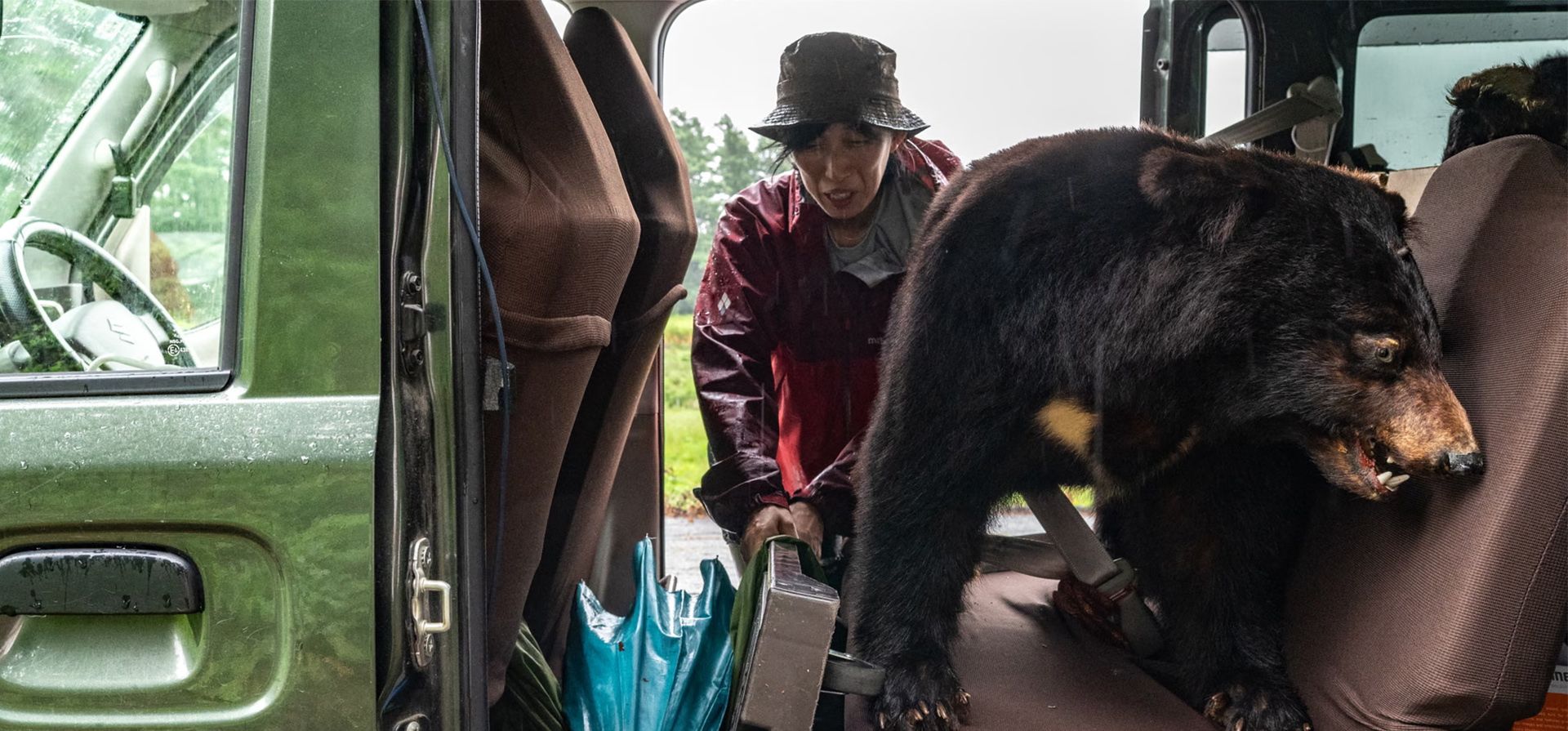 Un oso de peluche descansa en el asiento trasero de una furgoneta utilizada por un equipo de investigación para colocar trampas en un bosque, capturar osos negros asiáticos salvajes, recolectar muestras de piel y dientes, colocarles transmisores GPS y liberarlos de nuevo en su hábitat natural, Nagano, Japón. Fotografía: Philip Fong/AFP/Getty Images Un oso de peluche descansa en el asiento trasero de una furgoneta utilizada por un equipo de investigación para colocar trampas en un bosque, capturar osos negros asiáticos salvajes, recolectar muestras de piel y dientes, colocarles transmisores GPS y liberarlos de nuevo en su hábitat natural, Nagano, Japón. Fotografía: Philip Fong/AFP/Getty Images