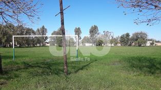 Detuvieron a un docente y profesor de fútbol acusado de abusar de un chico de 12 años