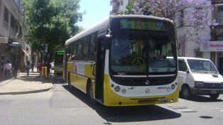 Por la inseguridad, pararon los choferes de la línea 11