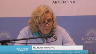 Seguí el debate a favor y en contra de la despenalización del aborto