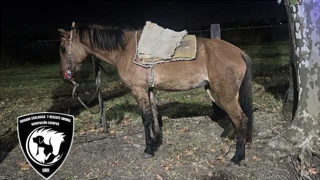 Uno de los sospechosos del robo fue detenido cuando aún andaba a caballo cerca del cementerio de Pérez