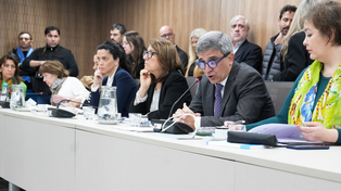El escándalo por el fentanilo contaminado hizo pie en el Congreso.