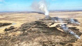 Incendios: ganaderos contra ambientalistas y la prensa