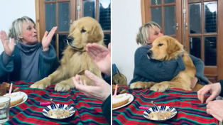 Video: un perro se emocionó tanto en un cumpleaños que se volvió viral