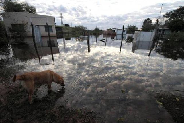 Bajó el río Paraná en Barranqueras, pero se esperan lluvias