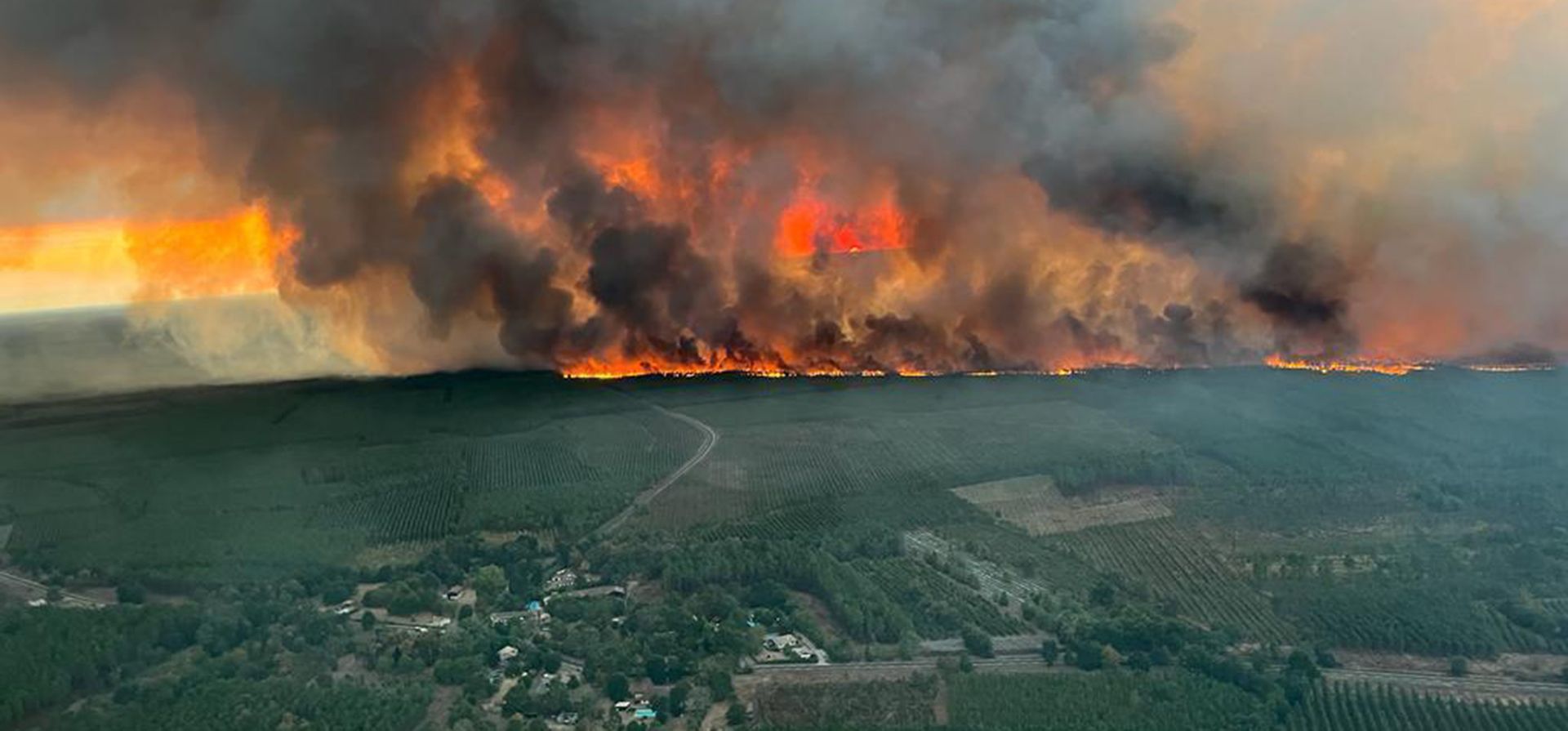 Las llamas consumen árboles en un incendio forestal en Saint Magne, al sur de Burdeos, suroeste de Francia, el miércoles 10 de agosto de 2022.