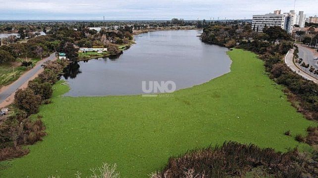 Suciedad en el lago del Parque del Sur: instalarán cinco bombas de filtrado para oxigenar y limpiar el agua