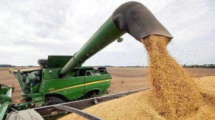 La Bolsa de Cereales de Entre Ríos estimó que la producción de soja de primera alcanzará las 690.000 toneladas y la de segunda 1.500.000 en el ciclo 2025/26