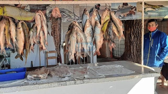 Pesca: la bajante del río Paraná preocupa la venta.