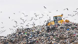 La mitad de la basura que arrojan los santafesinos no es tratada