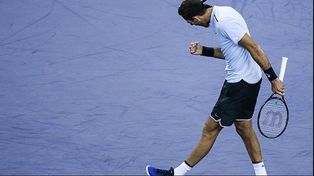 Del Potro se recuperó a tiempo y está en las semifinales de Shanghai