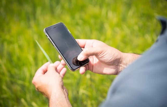 Las Soluciones. El sector pegó un salto en el uso de la tecnología en el campo