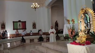Seguí en VIVO la celebración por la Fiesta de la Virgen Guadalupe