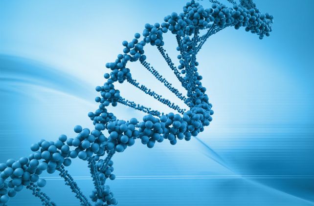Qué es el estrés oxidativo y cómo daña la salud