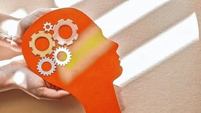 UNER: Jornada Descubriendo nuestro cerebro