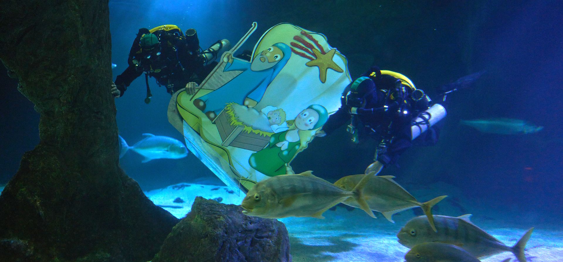 Buzos preparan un belén navideño en el fondo del acuario del zoológico de Madrid, España, el miércoles 10 de diciembre de 2025. (Foto AP/Manu Fernandez) Buzos preparan un belén navideño en el fondo del acuario del zoológico de Madrid, España, el miércoles 10 de diciembre de 2025. (Foto AP/Manu Fernandez)