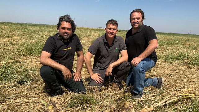 El proceso de intensificación agrícola requiere un cambio cultural y organizacional que lleva tiempo
