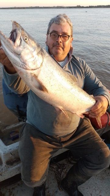 Pablo Piersanti es pescador y el 3 de noviembre encontró un ejemplar de salmón chinook de unos cinco kilos entre sus redes.