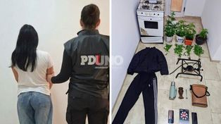 San Justo: la investigaban por un robo y encontraron ocho plantas de marihuana en su casa
