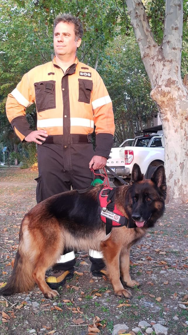 Afrika, la perra que ya comenzó a entrenarse para la brigada de rescate.