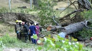 Dos niños murieron aplastados por un árbol en la costa del lago Lácar
