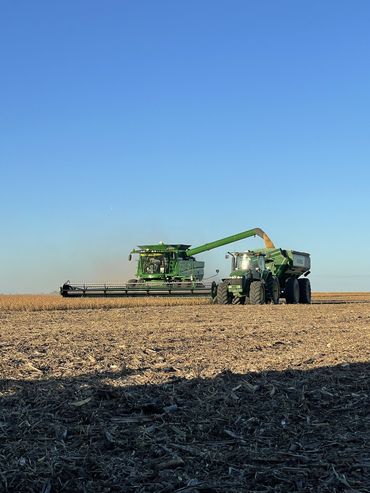 La producción de soja rozó los 50 millones de toneladas impulsada por altos rindes