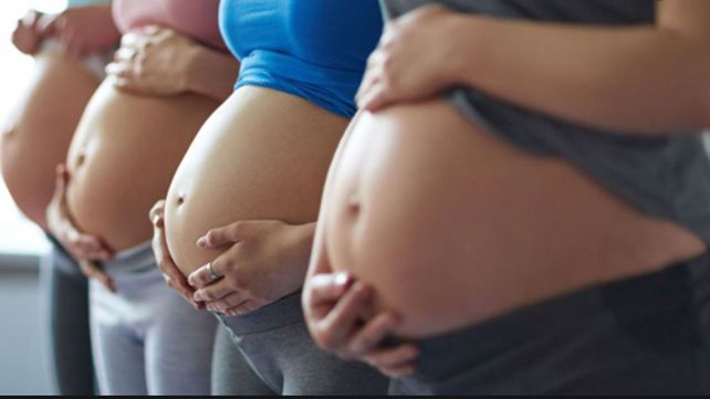 El Plan de los 1.000 Días está destinado a personas gestantes y niños de hasta 3 años.