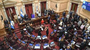 El Senado aprobó el repudio al ataque a Cristina Fernández