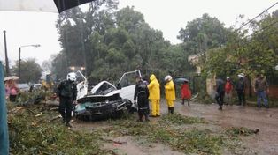 Tragedia en Tucumán: un niño murió aplastado por un árbol