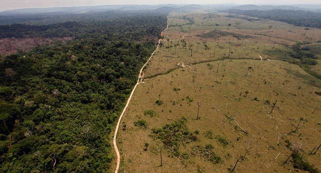 Uso excesivo. Desmonte de la selva brasileña para sembrar soja.