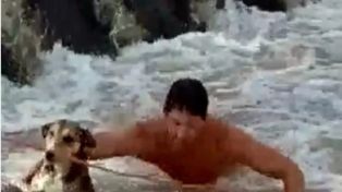 Video viral: emocionante rescate de un perro que se estaba ahogando en un río de Córdoba