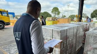 Llegó la primera importación de repelentes: Rosario